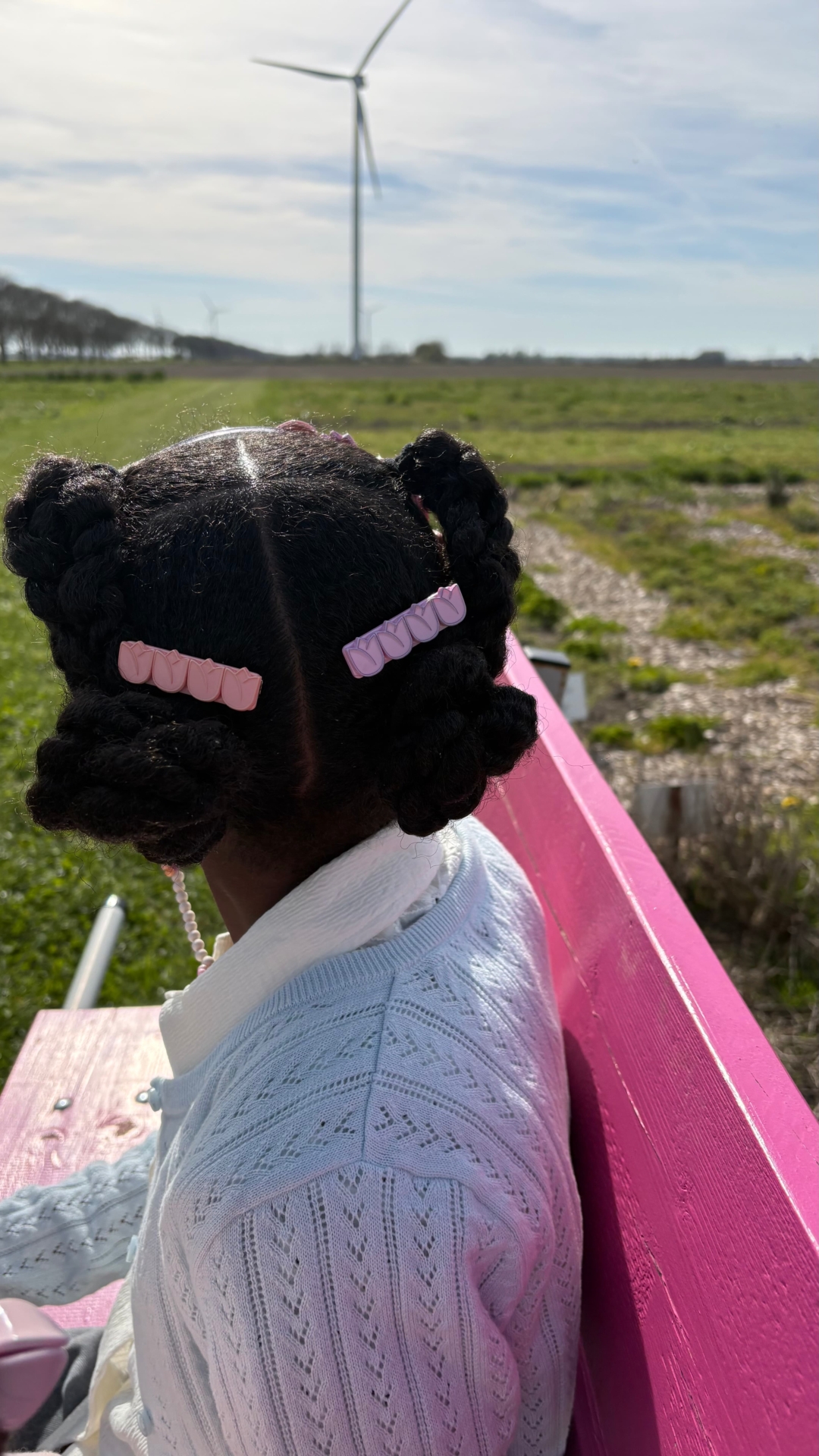 Tulip Hair Clips   Model  Bobble World